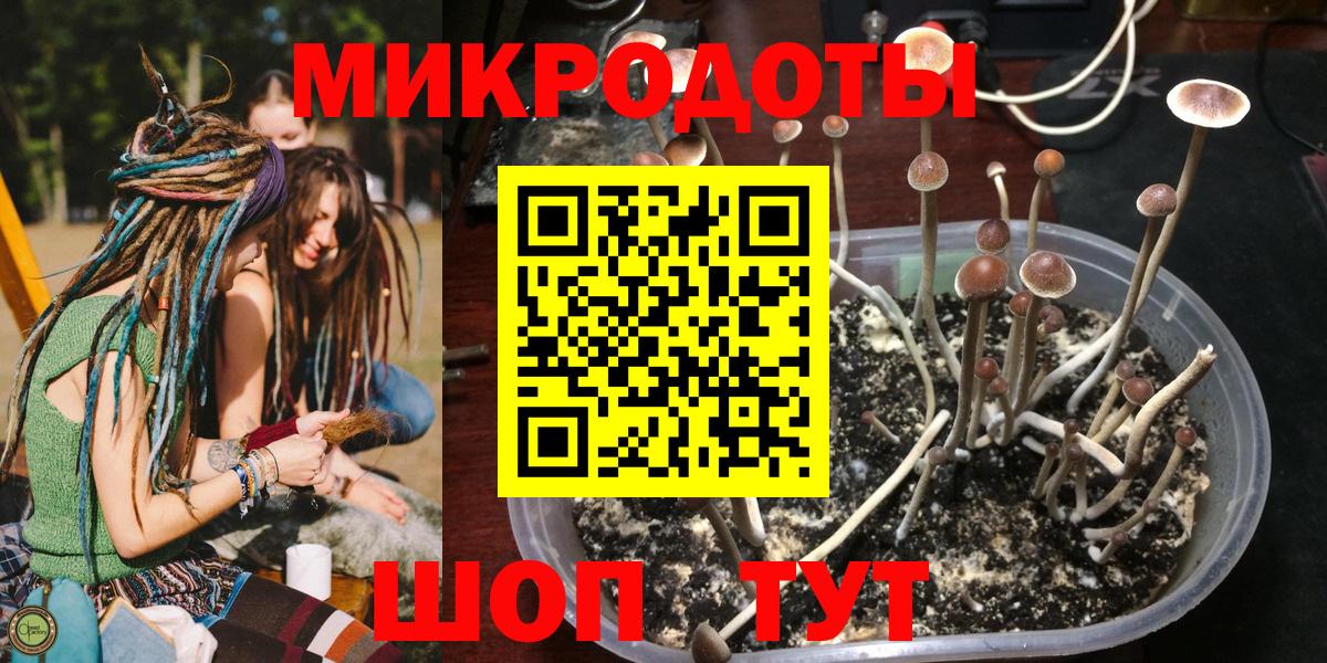 Большой Камень  Галлюциногенные грибы MAGIC MUSHROOMS  что такое   Вход с VPN 
